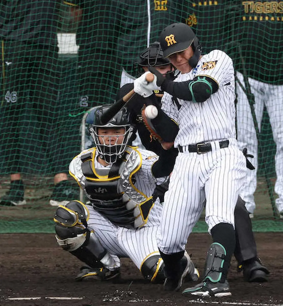 【画像・写真】阪神・豊田寛　右手首死球骨折で帰阪　左翼争い参戦の期待も　球児監督「何カ月後になるかわからない」