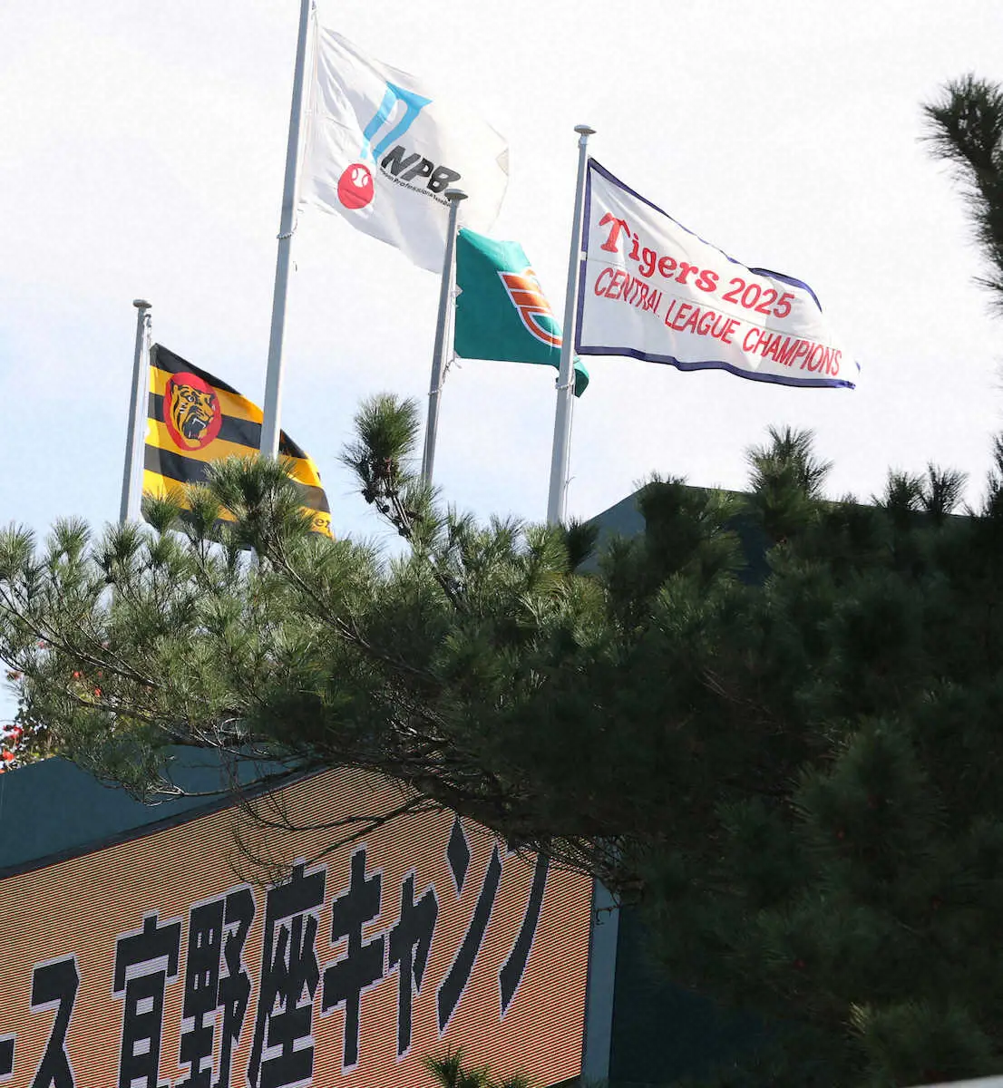 【画像・写真】【内田雅也の追球】野村は何と言うだろう?
