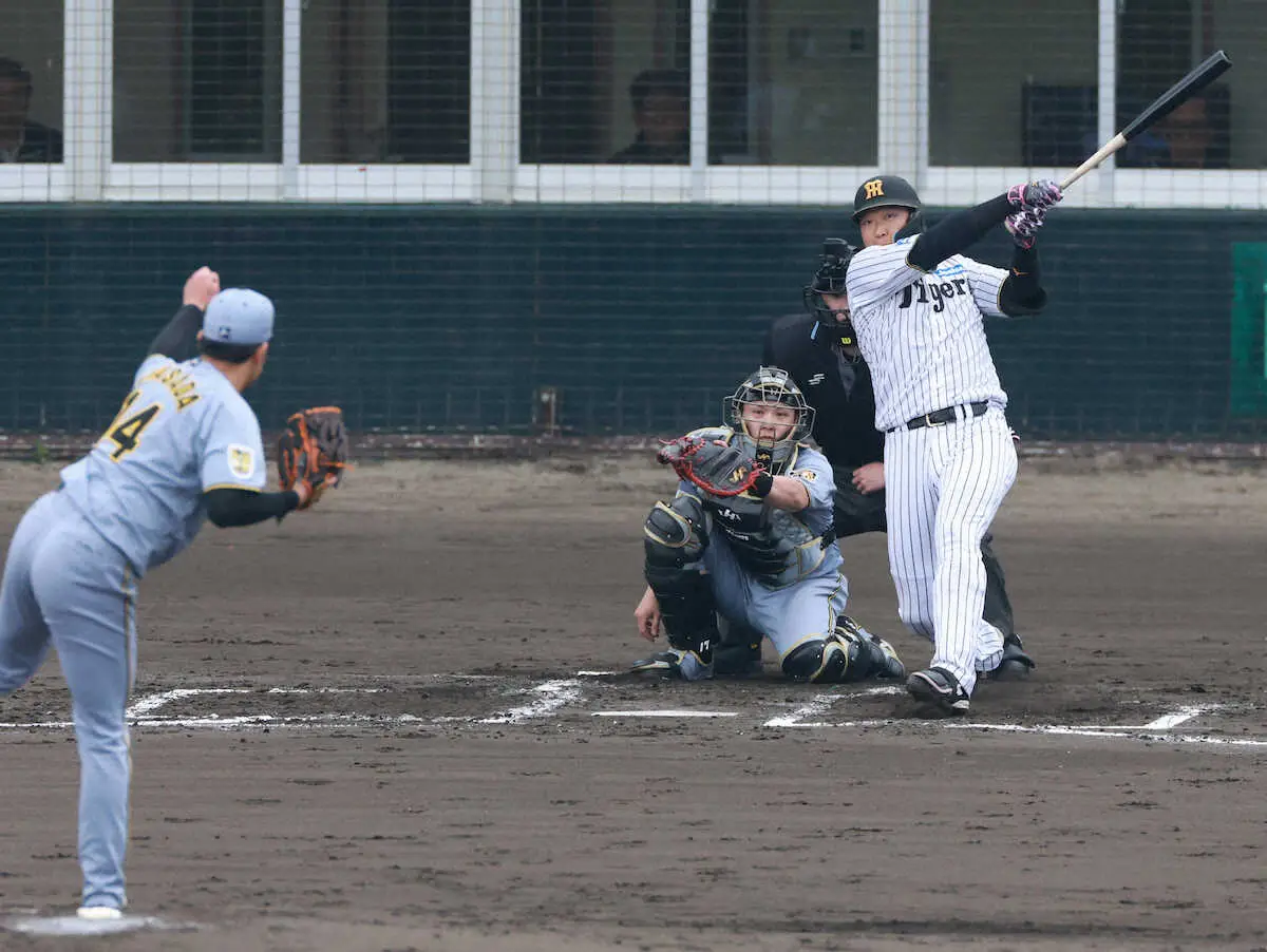 【画像・写真】阪神・大山悠輔　実戦初打席でいきなりホームラン！“一発回答”にファン大歓声