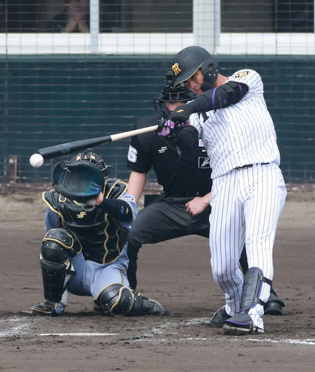 【画像・写真】阪神・西純矢、今年実戦初打席でヒット！「良い結果に繋がってよかった」ファンの声援受け中前にはじき返す