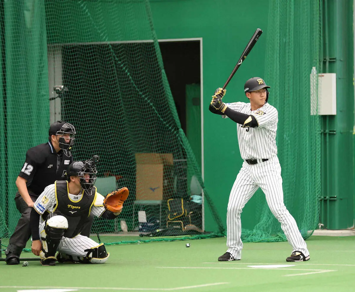 【画像・写真】阪神ドラ1立石正広　初めて宜野座キャンプのブルペンへ　1軍主力のキレ味肌で感じた