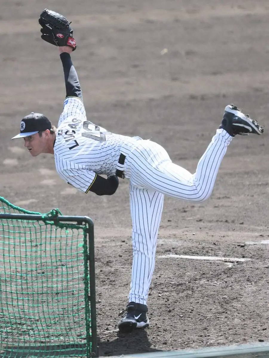 【画像・写真】阪神・新外国人投手ルーカスが初のライブBP登板　149キロ速球で魅了　及川は予定されていた登板を回避