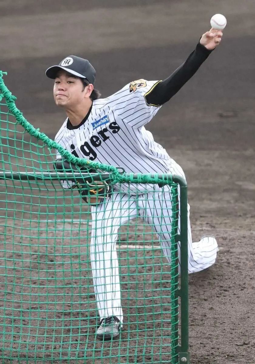 【画像・写真】阪神・高橋遙人が初のライブBP登板　順調さ印象づける31球　