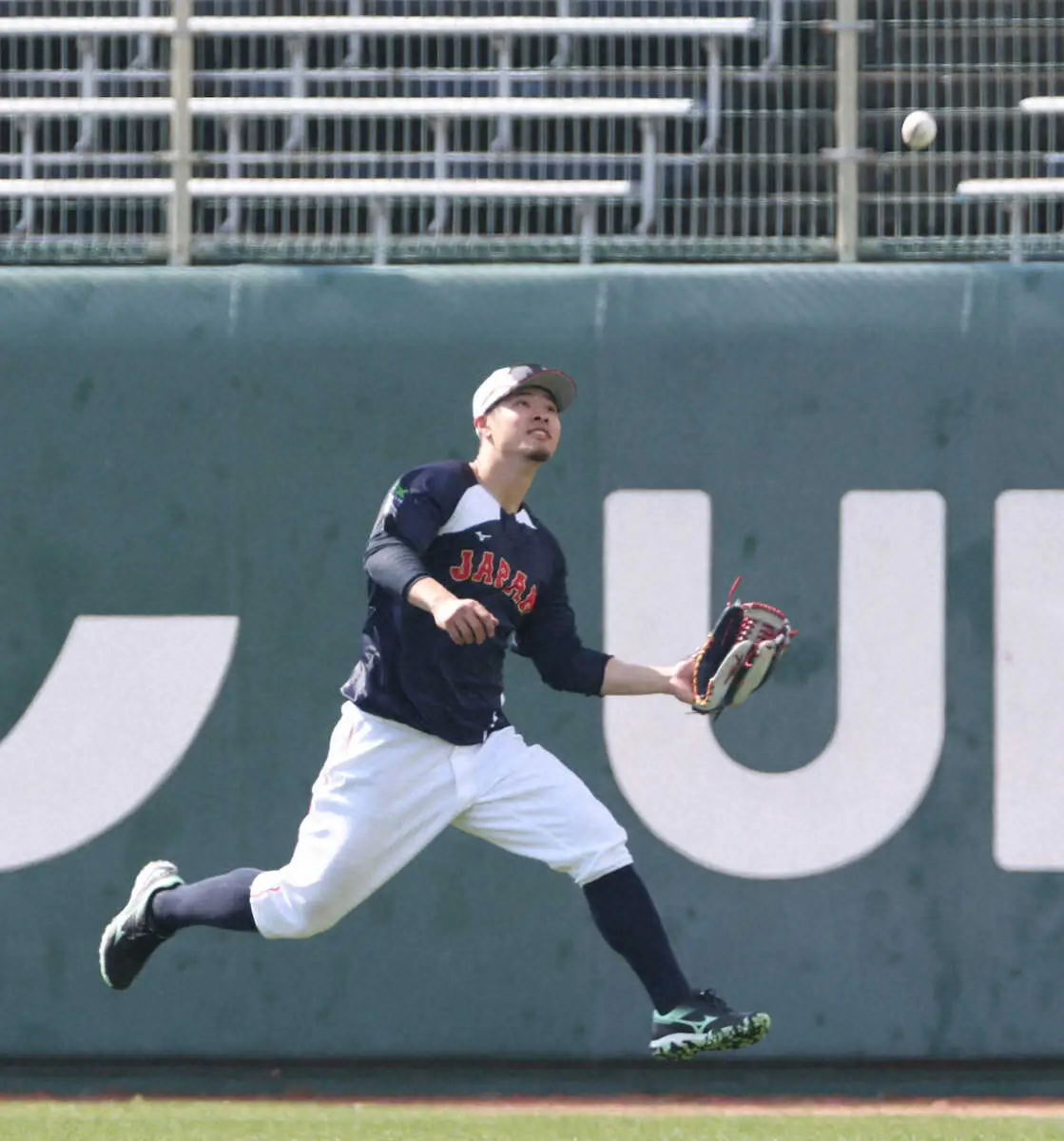 【画像・写真】【侍ジャパン】佐藤輝明　右翼守備で軽快な動き披露　本人は「一応」三塁以外でも備え万全