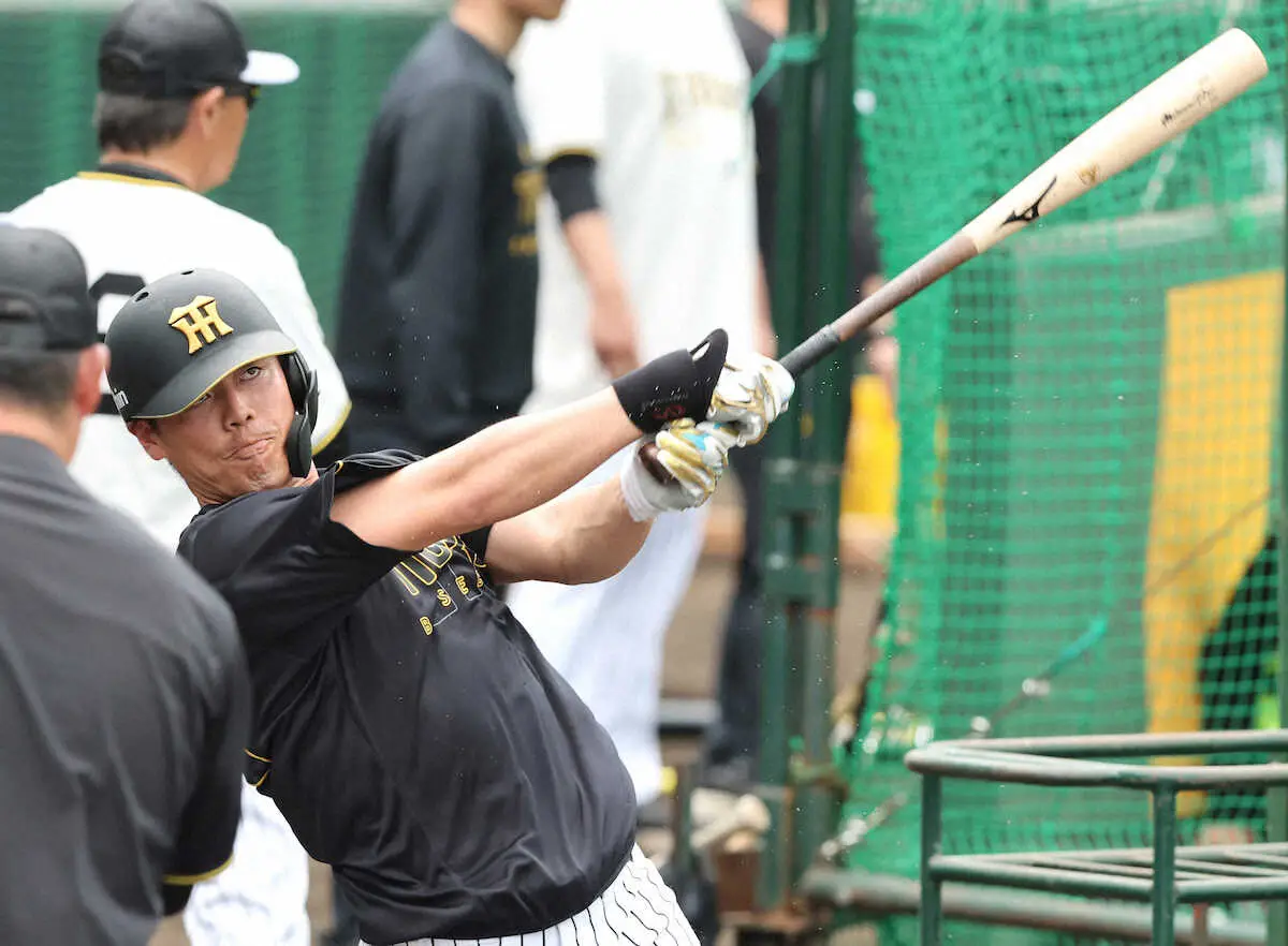 【画像・写真】阪神ドラ2・谷端将伍　「実戦も増えてくる。結果にこだわってやっていきたい」　新人で唯一の宜野座組