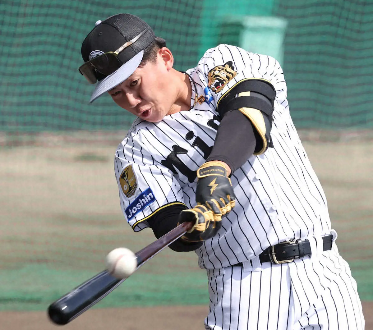 阪神ドラ1・立石正広が具志川組に合流 春季キャンプ第4クール初日