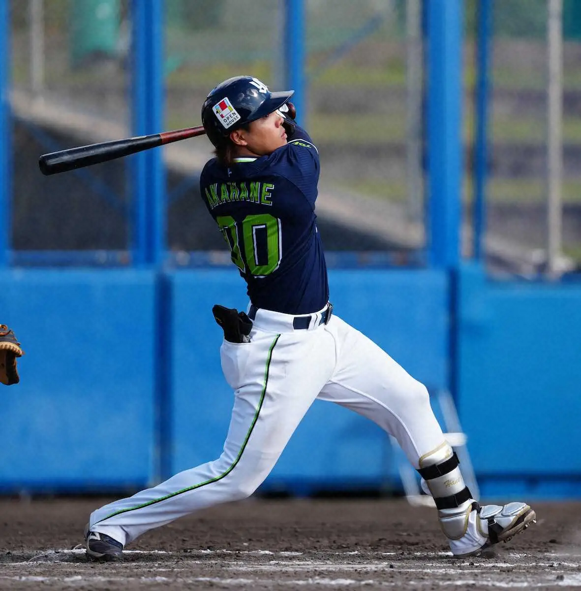 【画像・写真】ヤクルト・赤羽　3三振で「何とか結果を出そうと」8回に必死の適時打　