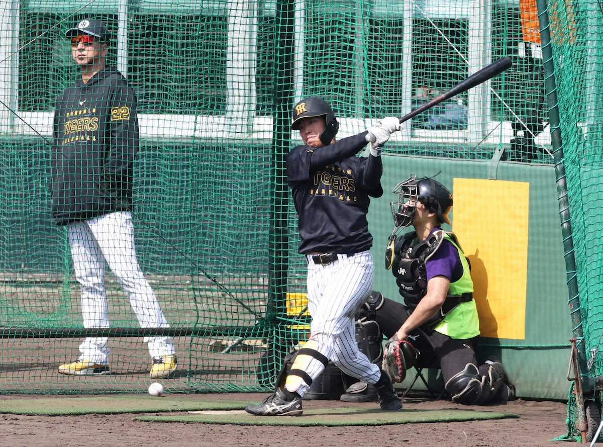 【画像・写真】阪神・百崎蒼生　「自分の持ち味」打力でアピール　21日からのオープン戦に向け決意