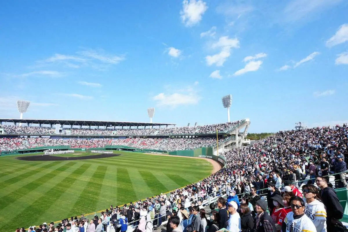 【画像・写真】【壮行試合】侍ジャパン“第1号”は坂本誠志郎！　昨季2発の正捕手候補が打でもアピール