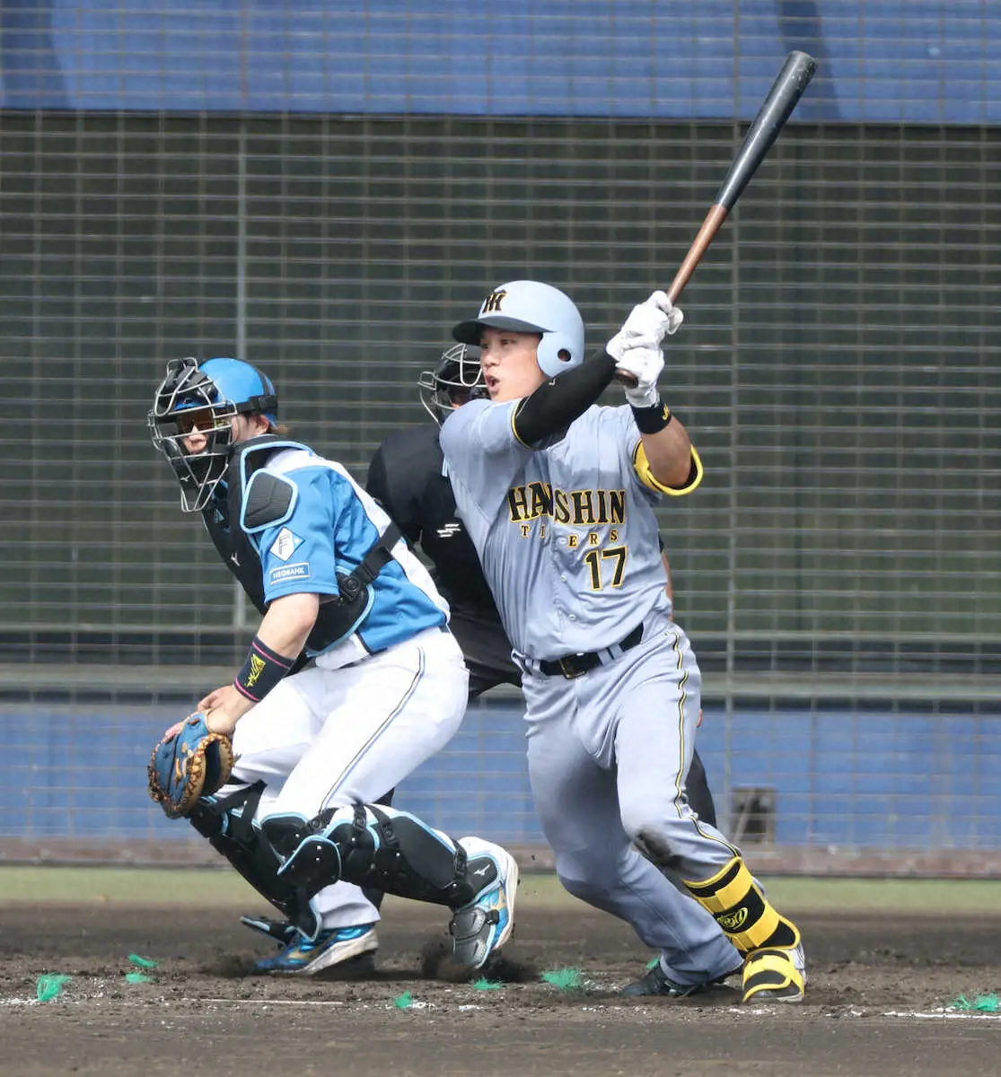 【画像・写真】阪神・伏見寅威　古巣・日本ハムに「餌まき」　相手先発・達孝太から投ゴロも　「シーズンで打ちます」