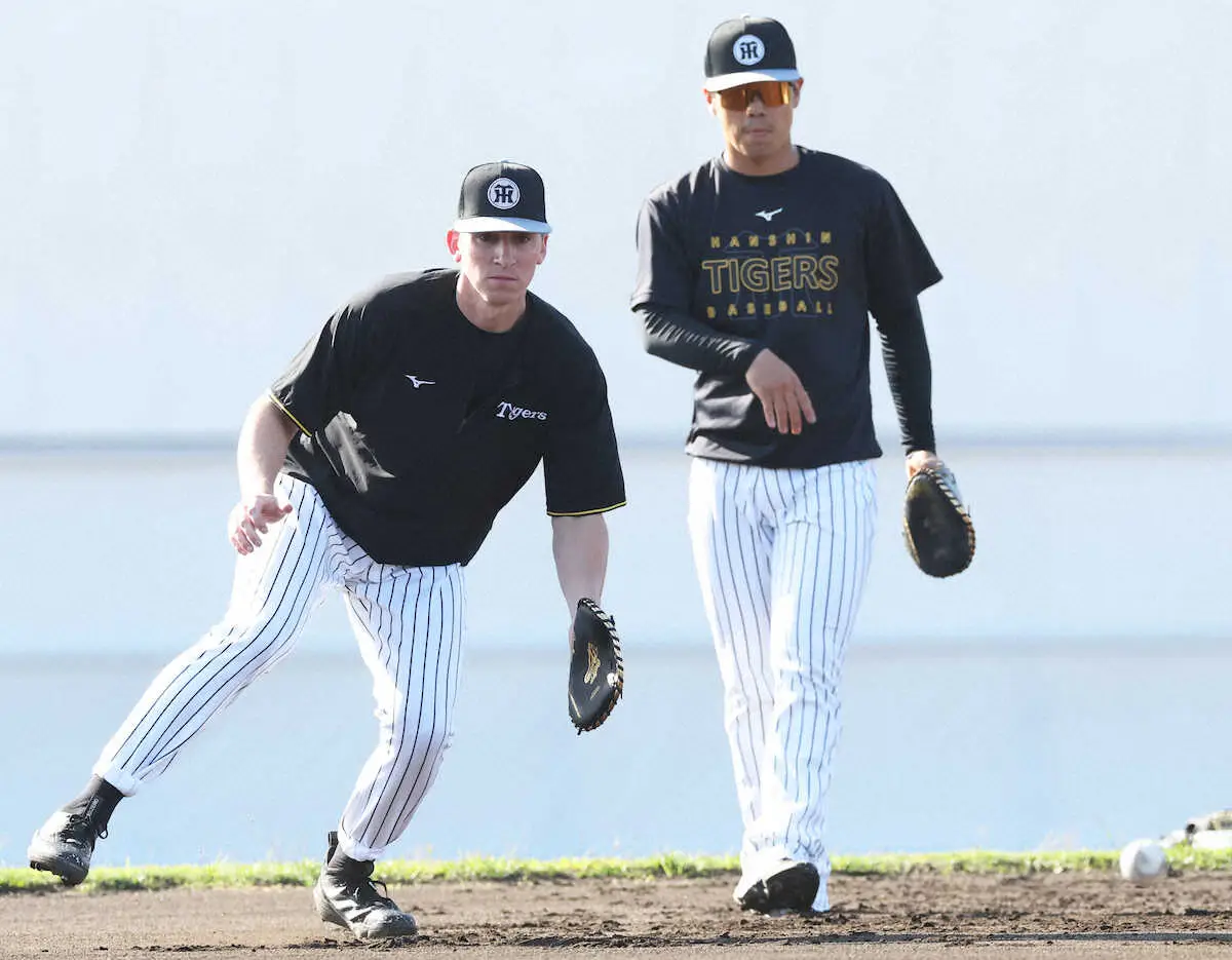 【画像・写真】阪神　ディベイニーが甲子園3月オープン戦5戦で“黒土マスター”になる!正遊撃手へ「もっと練習量を」