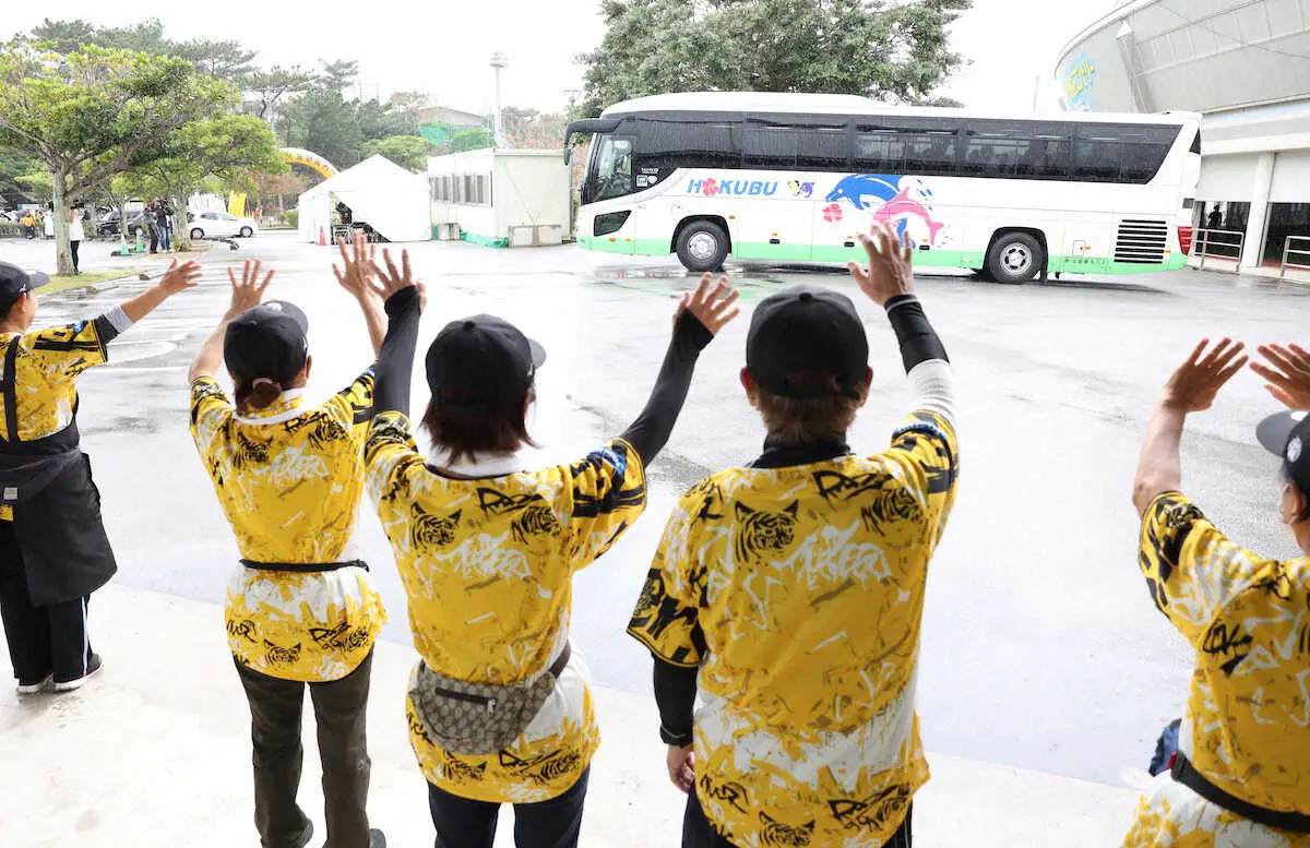 【画像・写真】【内田雅也の追球】「うりずん」の雨と姿勢