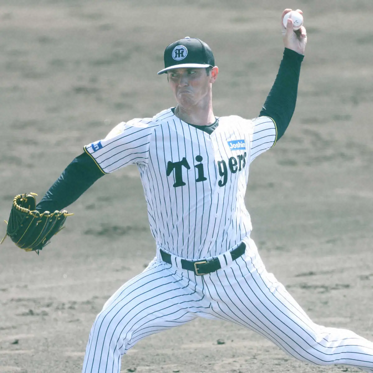 【画像・写真】阪神・新助っ投のルーカス“セ界非公開”で開幕直行プラン浮上　貴重な新戦力をセ5球団にひた隠し　