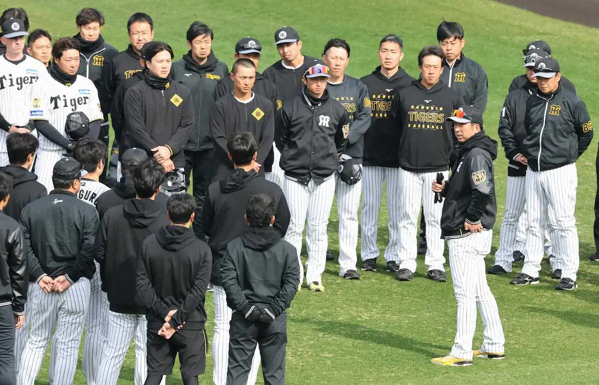 【画像・写真】阪神　甲子園で練習再開　町田、百崎、岡城、福島が合流、新外国人も初の甲子園