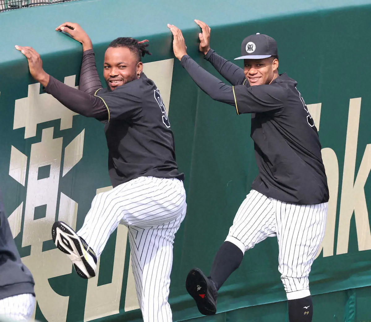【画像・写真】阪神　新外国人モレッタが初の甲子園練習に感激「すごくきれいな球場だ」