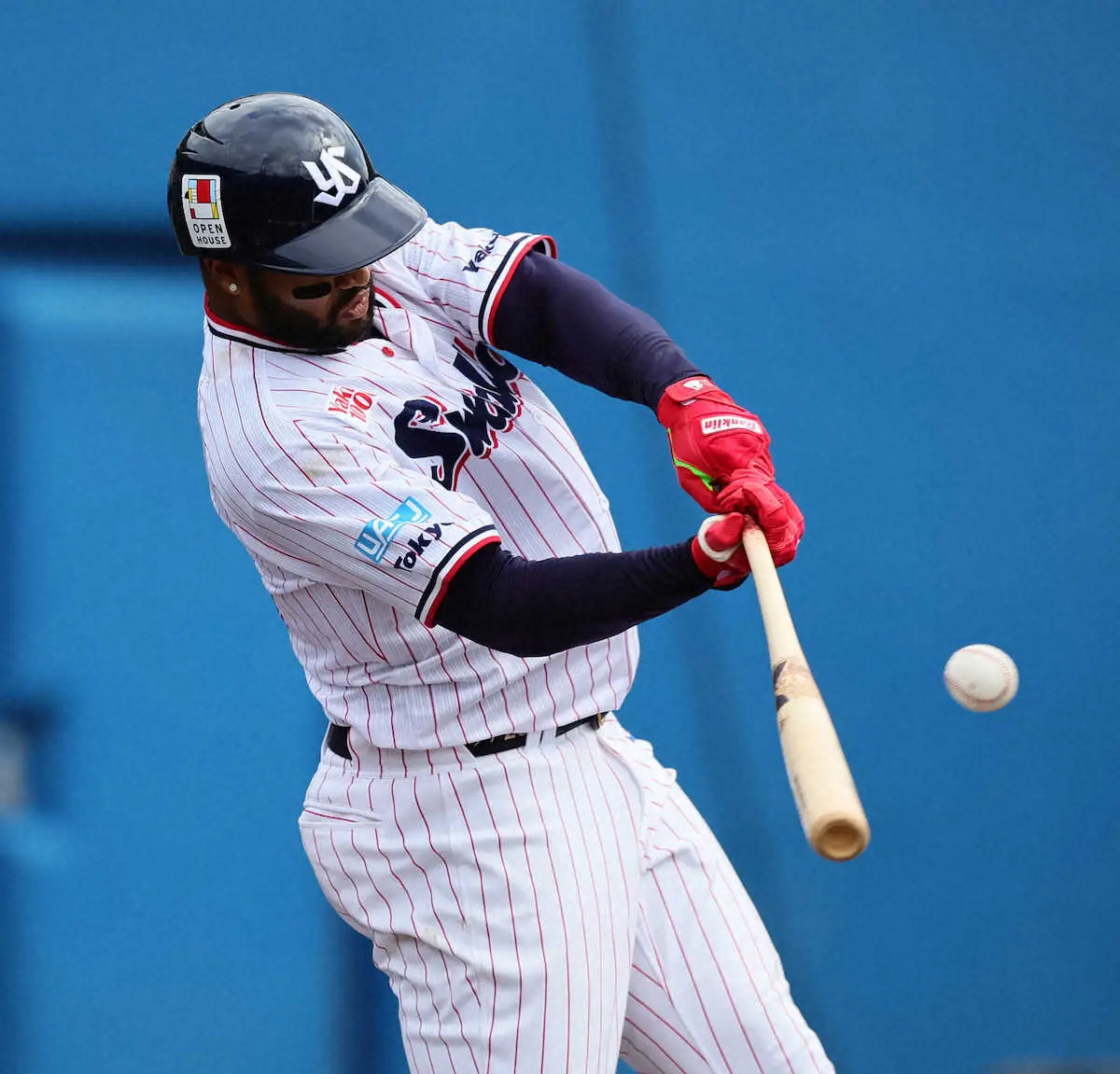 【画像・写真】ヤクルト・サンタナ