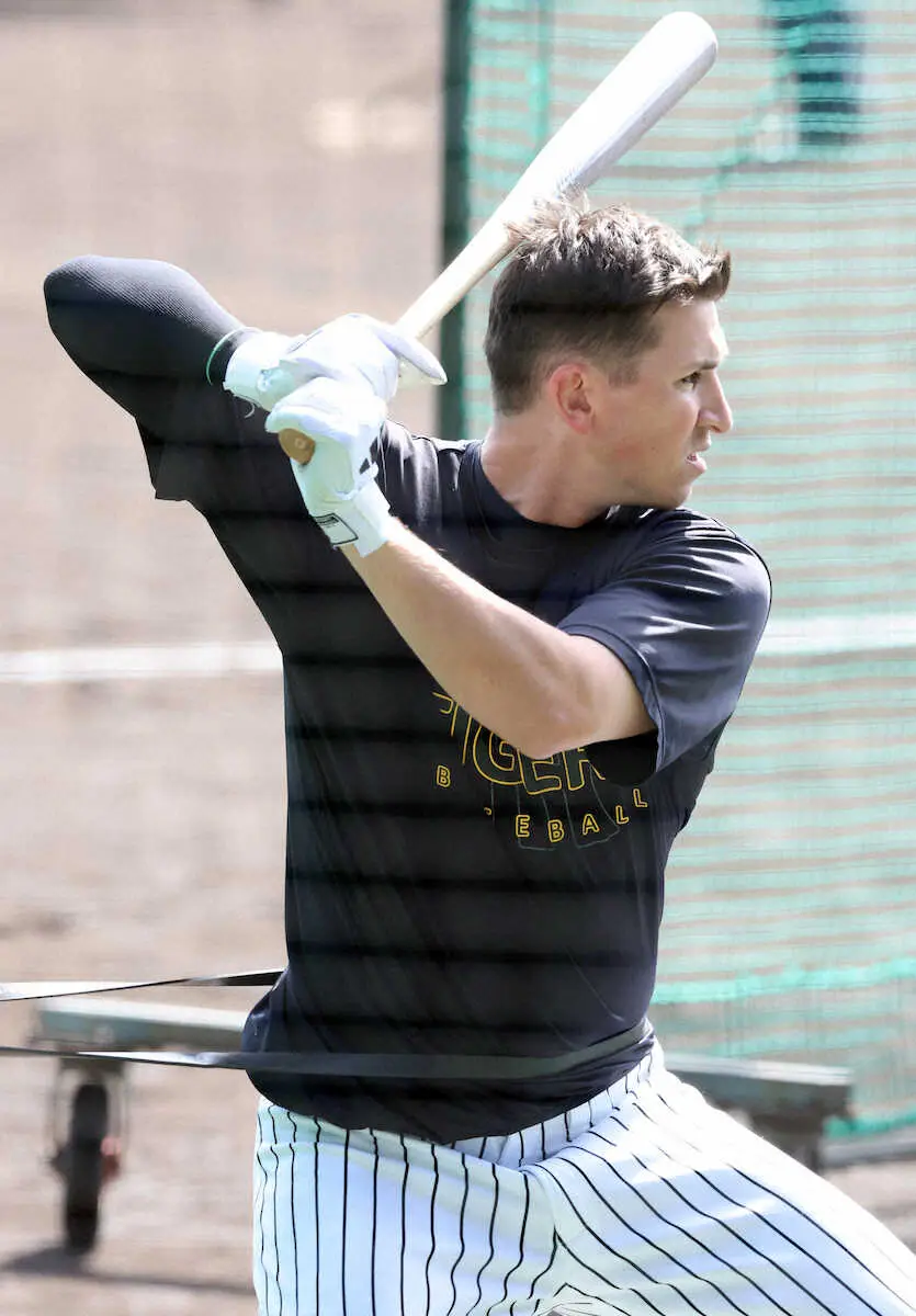 【画像・写真】阪神・ディベイニー“甲子園の土”攻略へ大事な本拠地OP戦5試合「いい状態にある。順調に進んでいる」