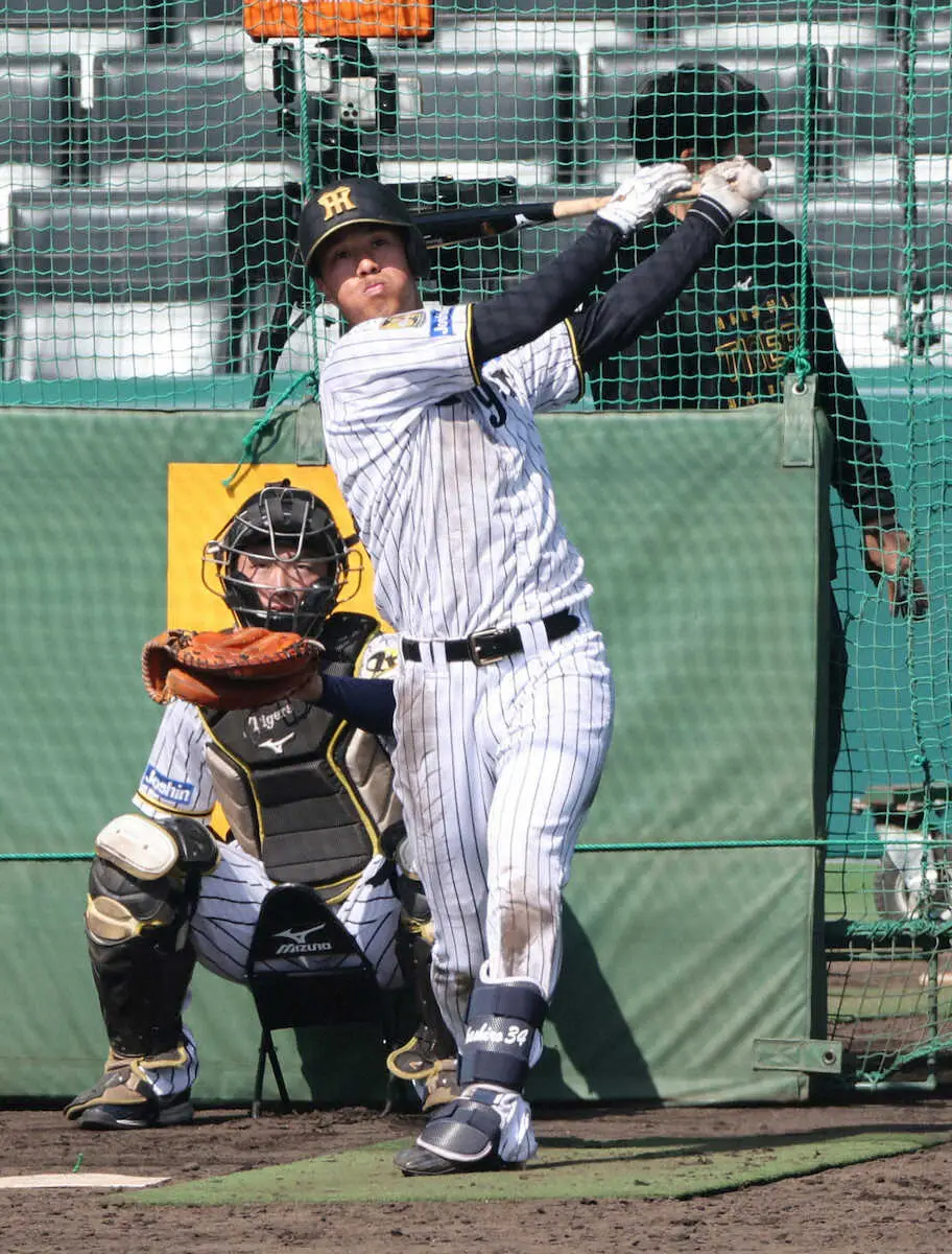 【画像・写真】阪神ドラ3・岡城快生　待望の甲子園デビュー戦でハツラツ宣言「新人なんで積極的な姿を見せたい」