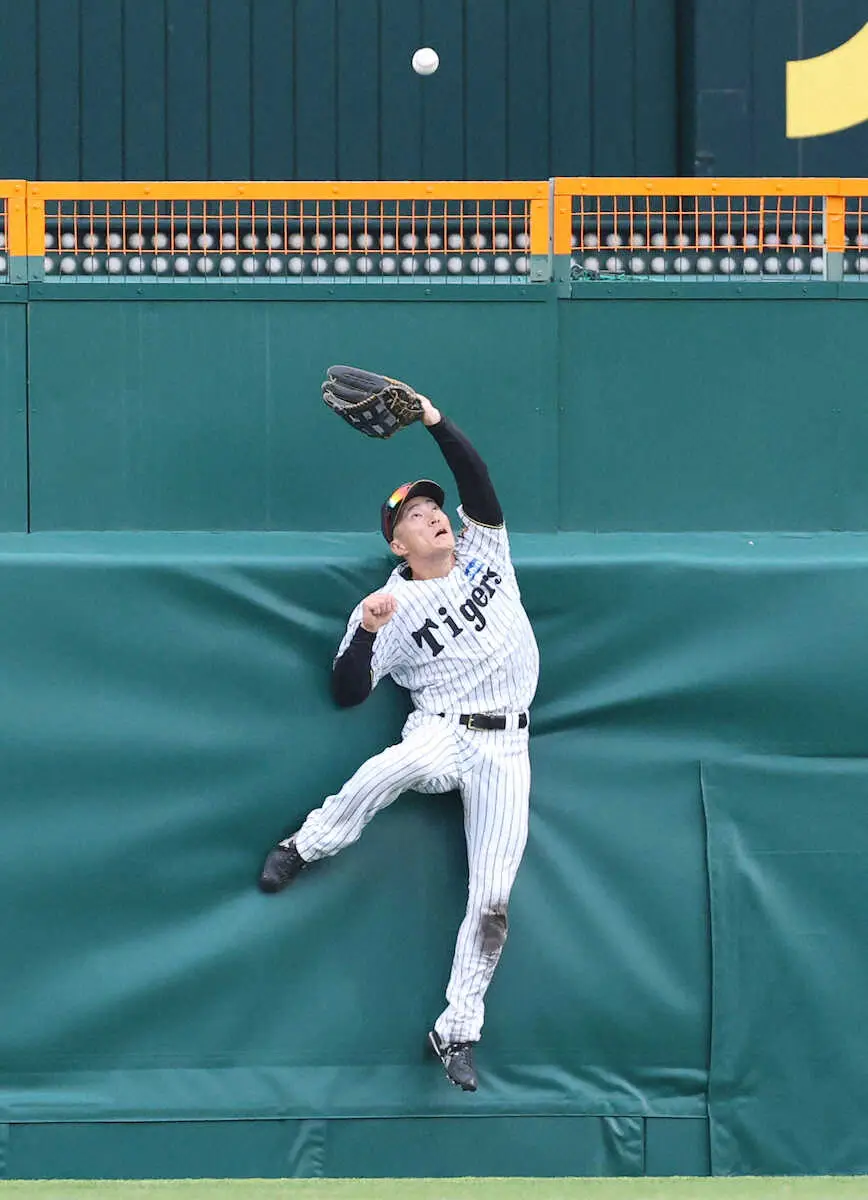 【画像・写真】阪神・福島圭音が“ホームランキャッチ”の超絶好守「支配下上げてあげて」ファン大興奮