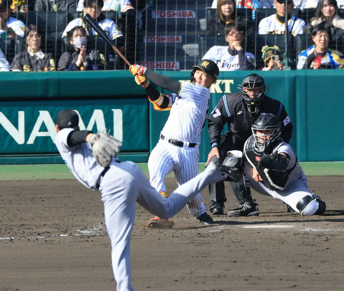 【画像・写真】阪神・嶋村麟士朗　球団育成選手初のOP戦本塁打 「ドリスの教え」胸に「当てにいかずマン振りしようと」