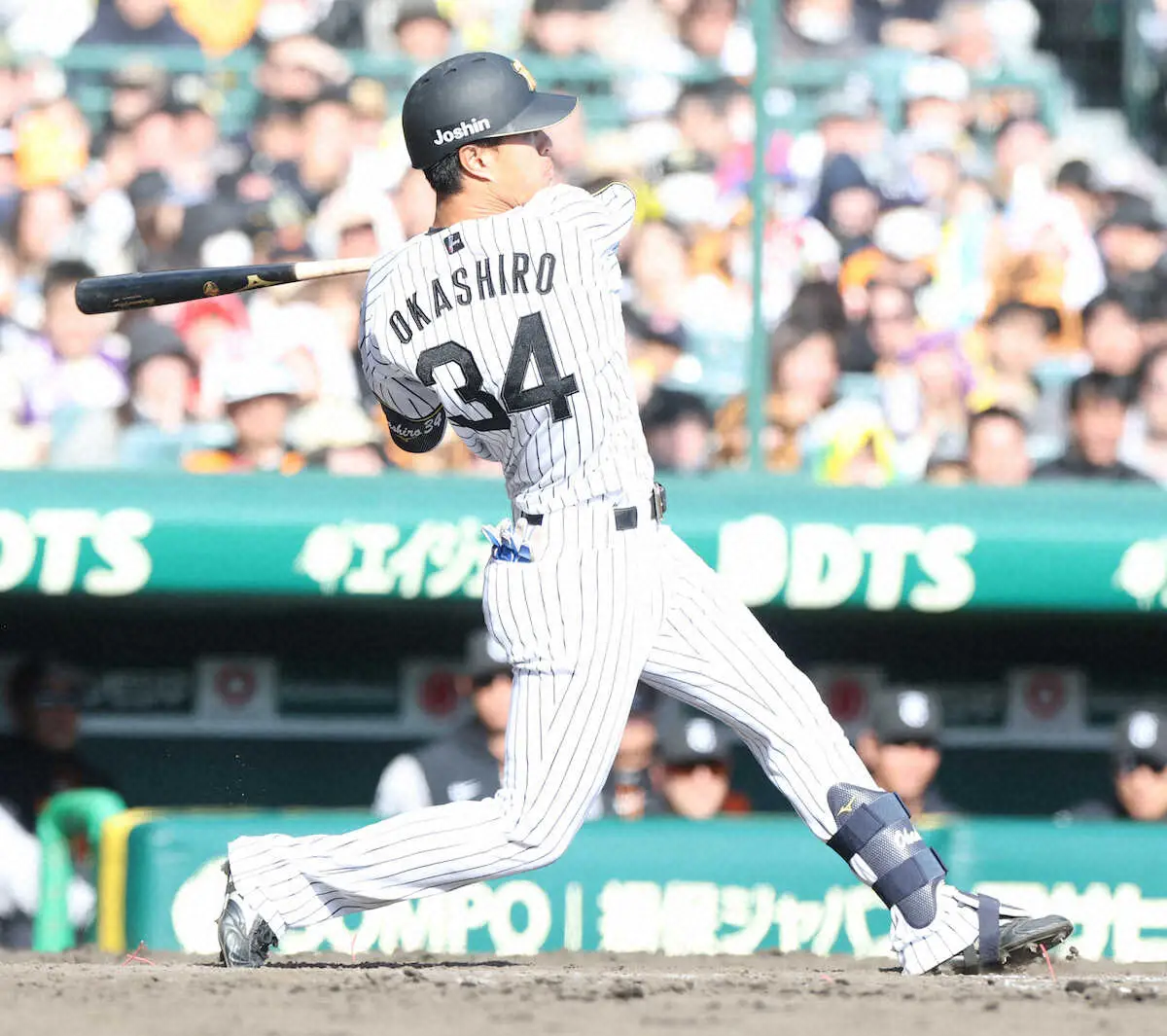 【画像・写真】阪神ドラ3岡城快生　オープン戦初打席で初安打「しっかり初球から振れた」守備には課題を残す