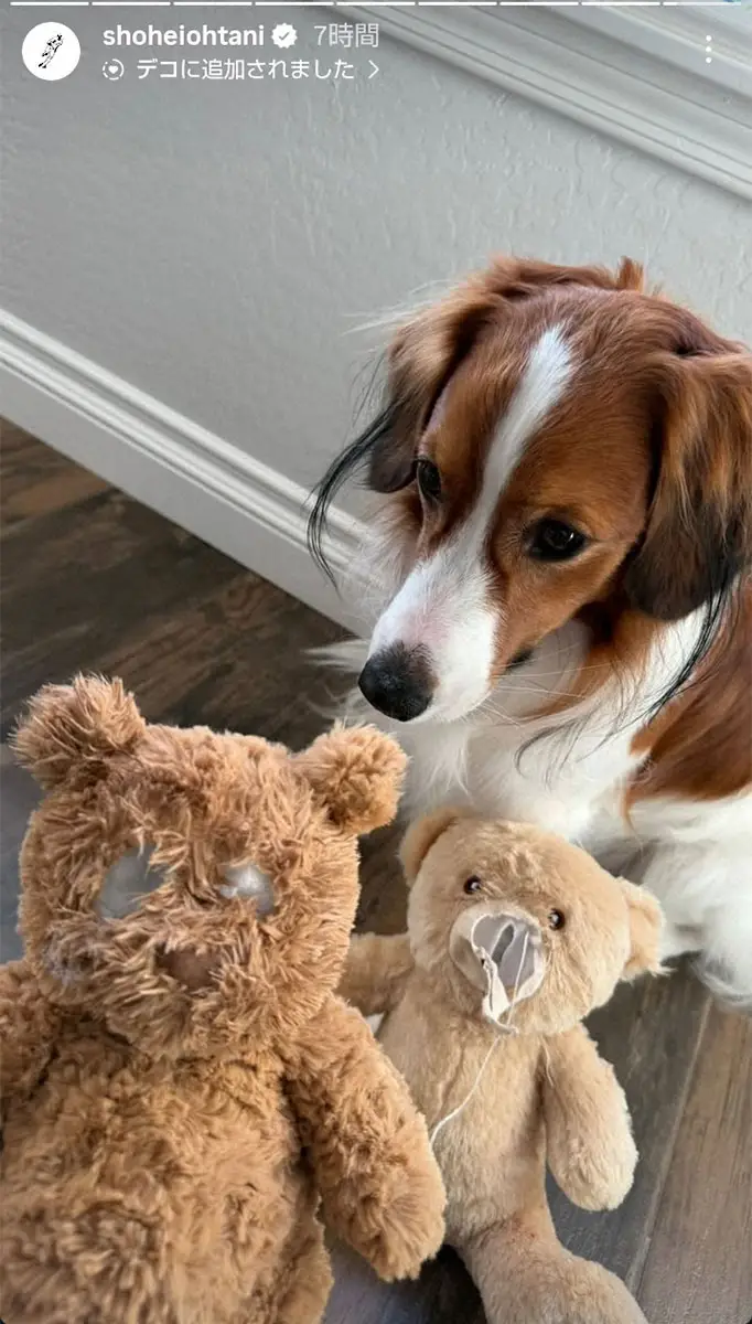 【画像・写真】【侍ジャパン】大谷　デコピンのおちゃめな新ショット投稿