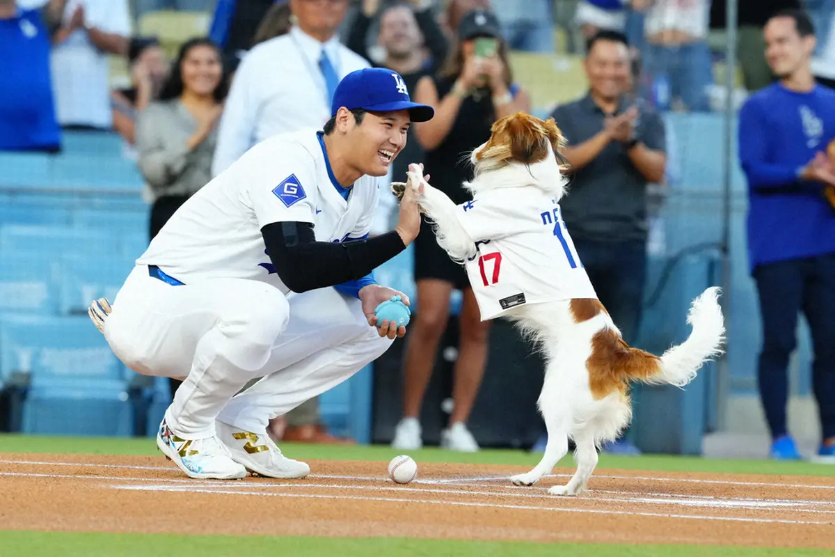 【画像・写真】初来日！？大谷翔平が東京タワー散歩＆“ヘソ天”姿の愛犬・デコピン投稿「絵になりすぎ」