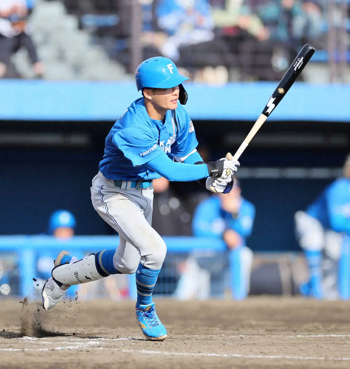 【画像・写真】日本ハム・奈良間大己　地元・静岡で4番で出場　最終打席で適時打「最後にいいところを見せられた」
