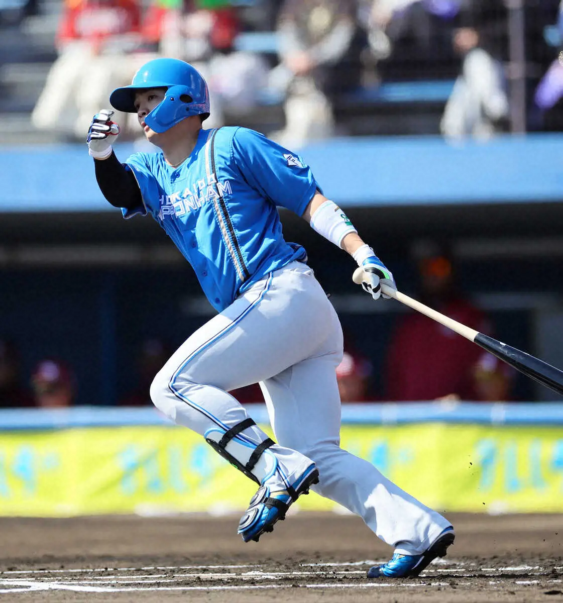 【画像・写真】日本ハム・郡司　オープン戦出場全5試合連続安打　「開幕4番」チームトップの打率.455