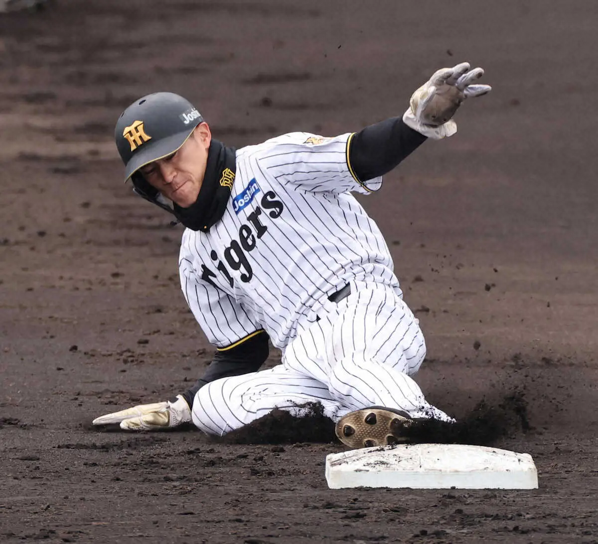 【画像・写真】阪神・福島圭音　嶋村に続く！「本当にラストチャンス」快足武器に支配下へ滑り込む