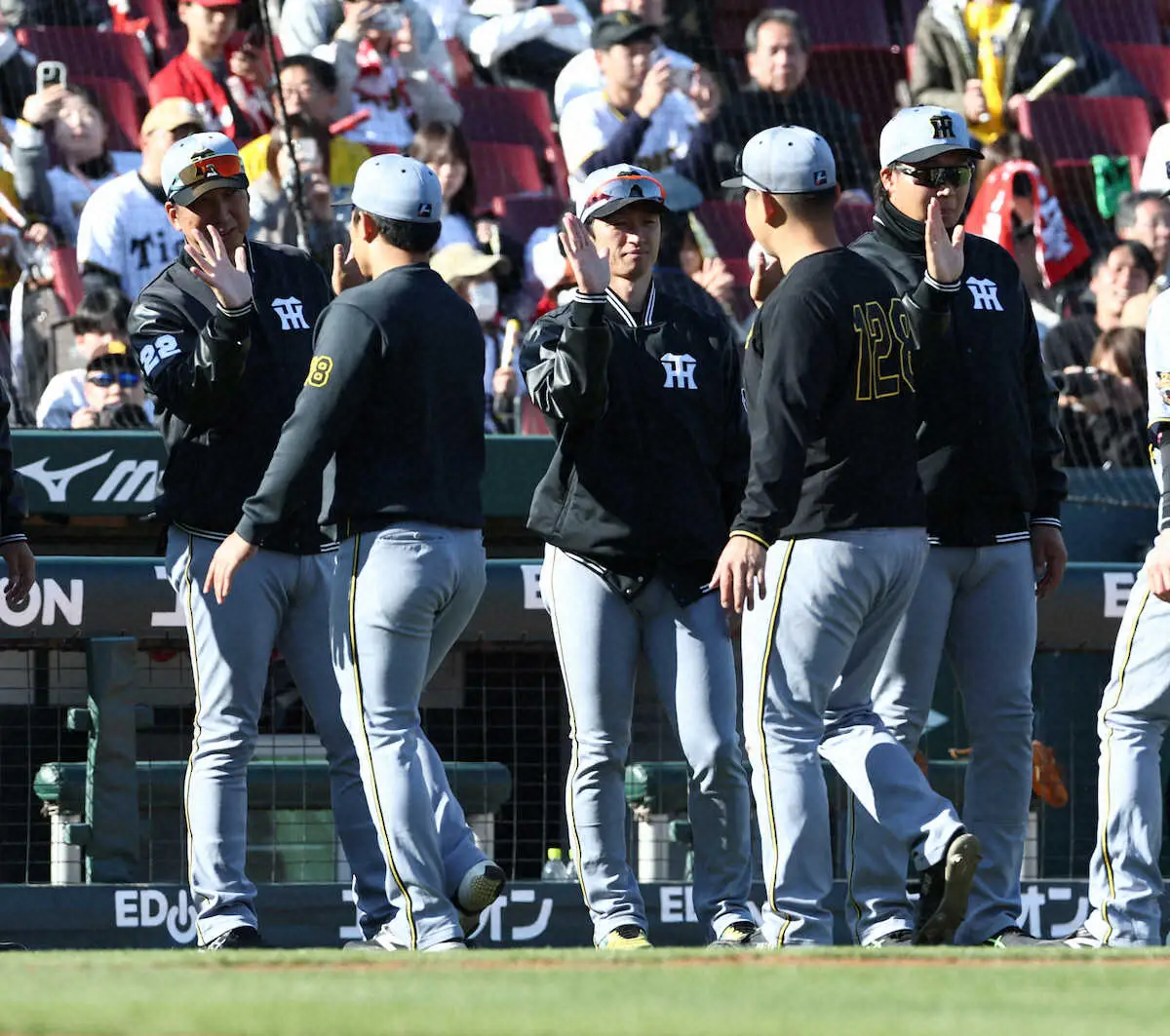 【画像・写真】【阪神・藤川監督語録】戦いはシーズンに入ってから「まだまだ準備（段階）です」