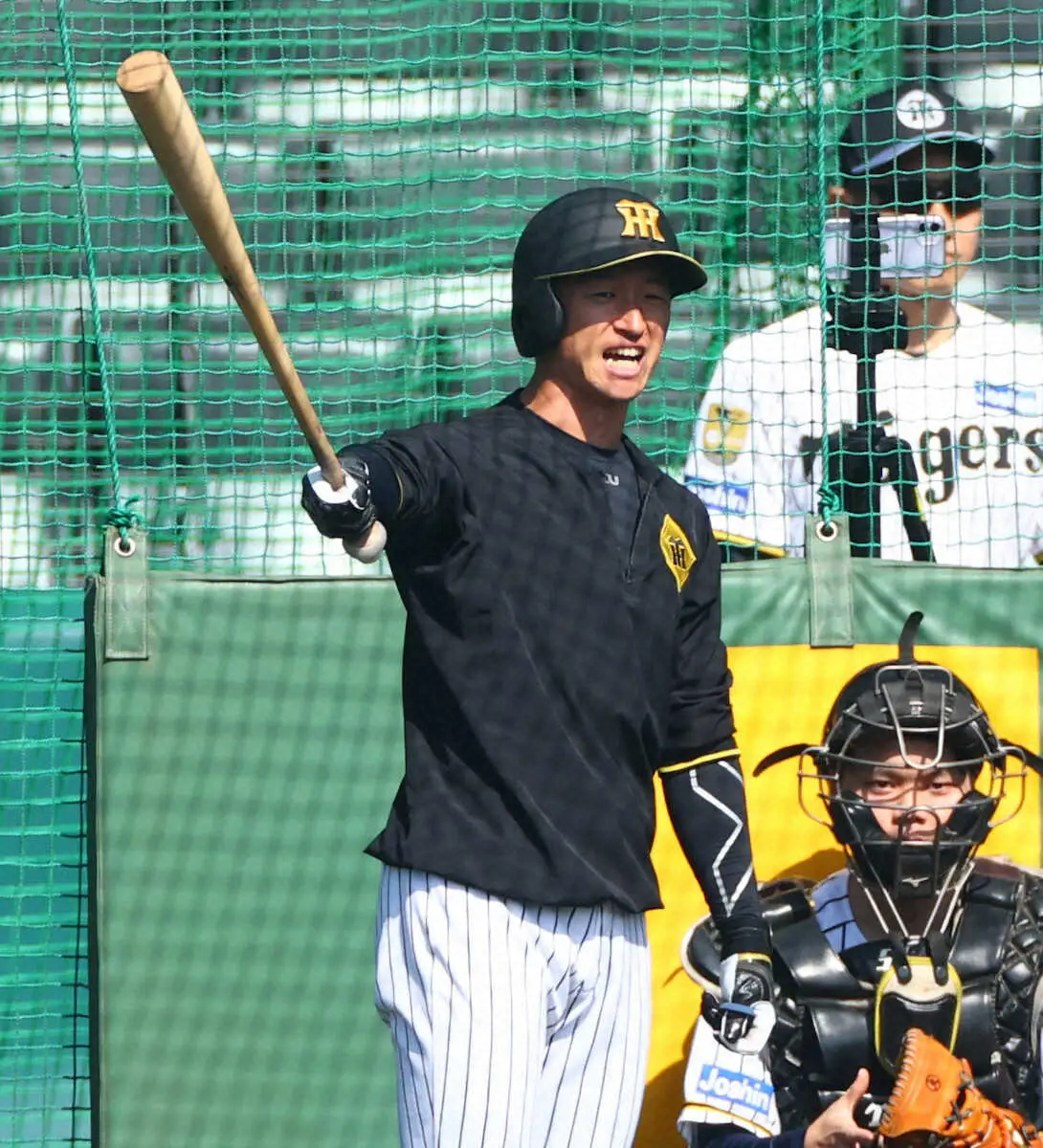 【画像・写真】阪神・近本光司　「いろいろあるので」　甲子園室内練習で居残り特打　開幕に向けて微調整