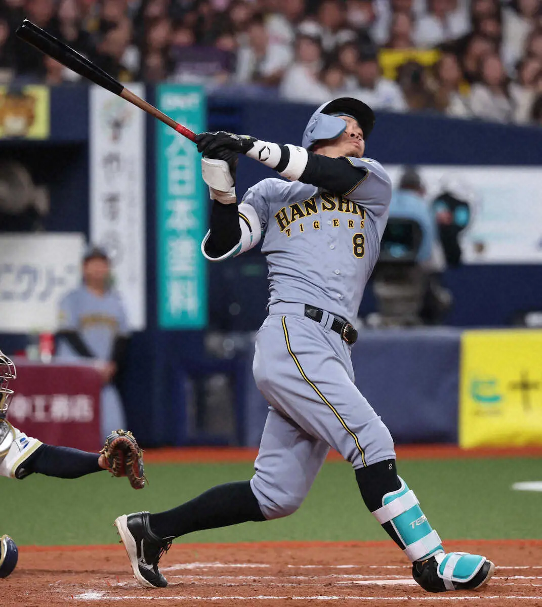 【画像・写真】阪神・佐藤輝明　OP戦ラストは4の0も前向き「しっかり出られたんで良かった」