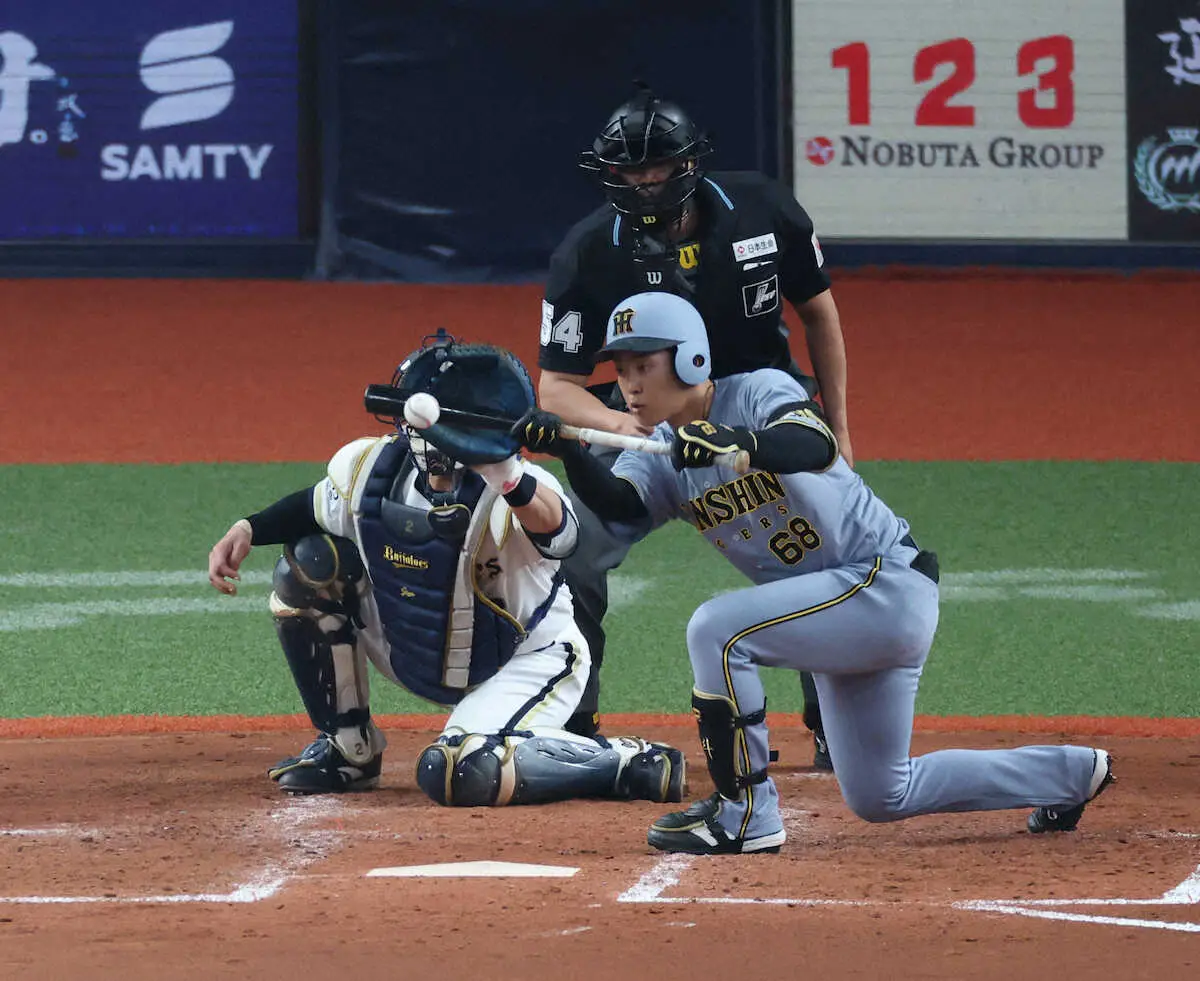 【画像・写真】阪神・中川勇斗　悔しさを糧に開幕へ　OP戦ラスト無安打「まだ力が足りない」もチームトップ2発、7打点