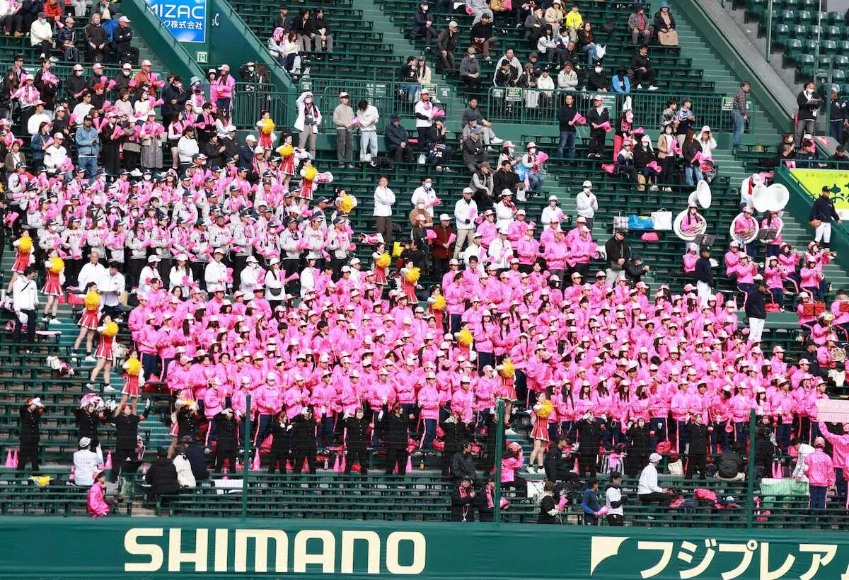 【画像・写真】【センバツ】大垣日大16年ぶり8強ならず…竹島が初回先制ソロも山梨学院に逆転負け