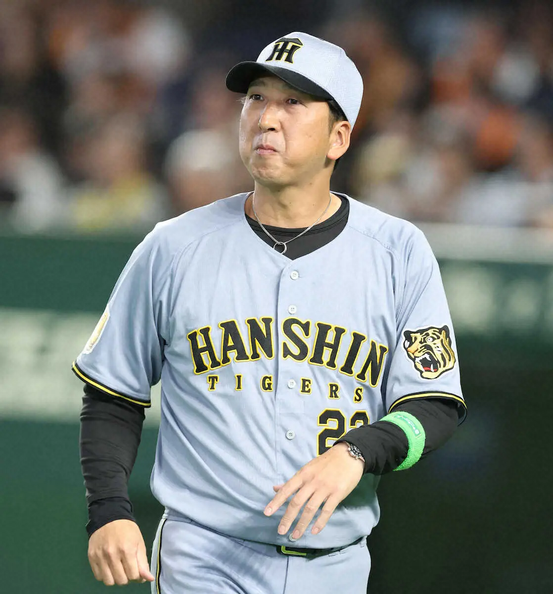 【画像・写真】阪神・藤川監督　竹丸に完敗「相手が上回ったということですよ」「始まったばかり。あす1つ取りにいく」