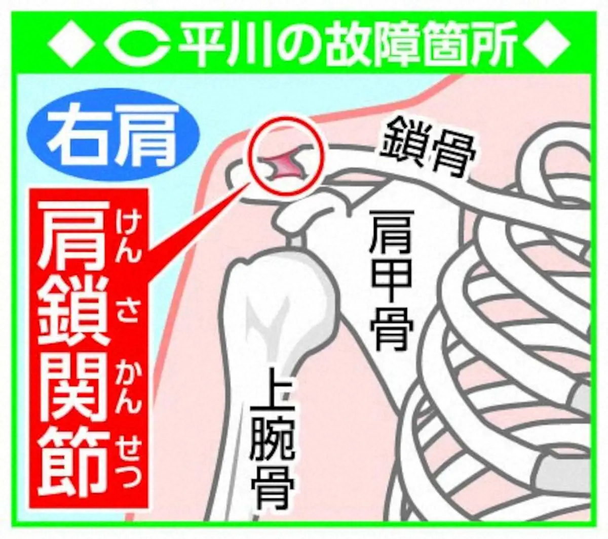 【画像・写真】広島ドラ1・平川蓮　「右肩肩鎖関節損傷」で出場選手登録を抹消　31日ヤクルト戦の守備でフェンス激突