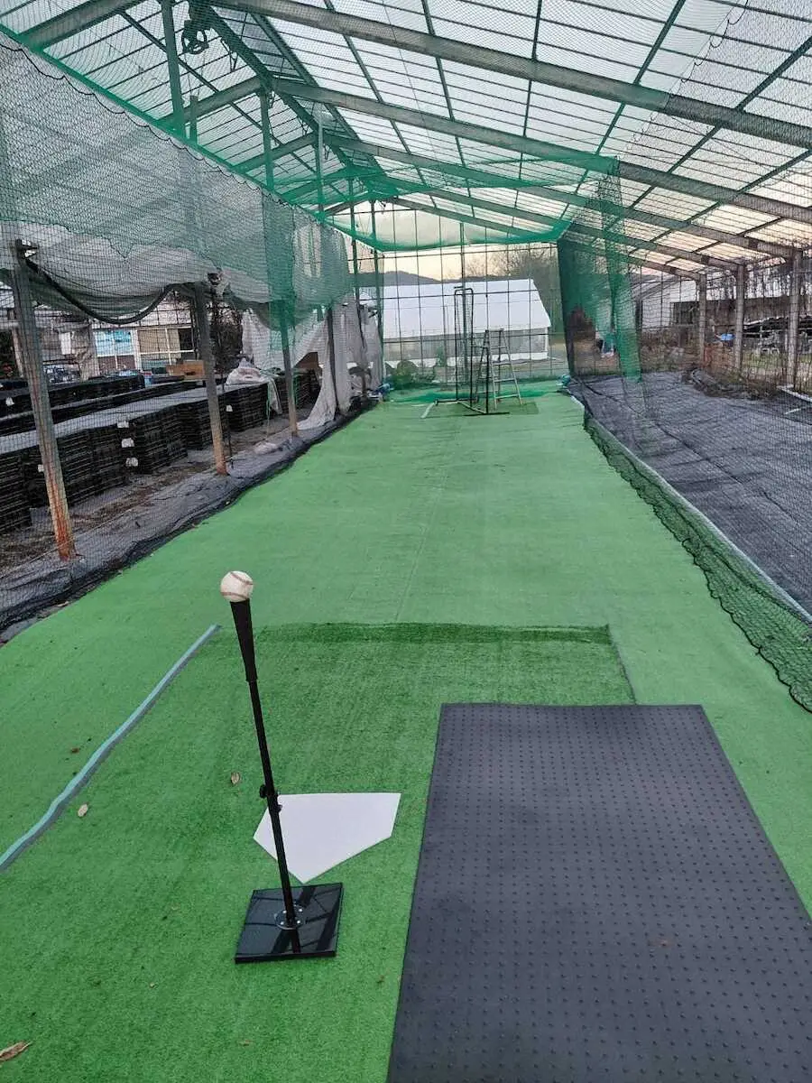 【画像・写真】プロ初安打の阪神・福島圭音　父・明さん特別手記「ケガしやすいプレースタイル…ケガだけは気をつけて」