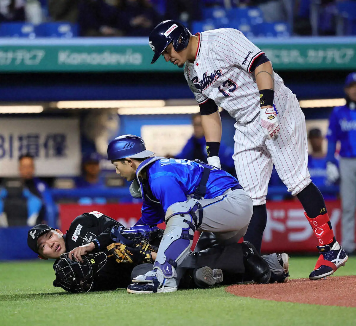 【画像・写真】ヤクルト―DeNA戦でバットが球審頭部に直撃　担架で退場、病院に搬送
