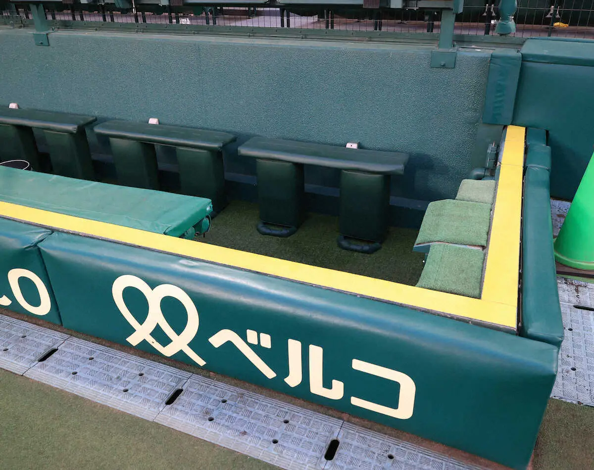 【画像・写真】甲子園カメラマン席改修検討へ　中日・福永の転落、負傷を受け「囲い」の防護ラバーを広げる案など