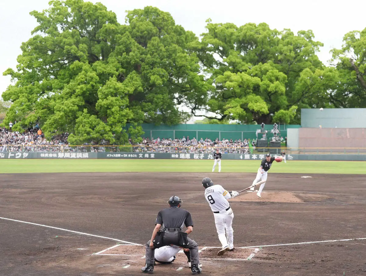 【画像・写真】ソフトバンク・柳田悠岐　次こそ熊本1号＆勝利を　沸かせた大飛球も風に押され大ファウル“幻の先制弾”に