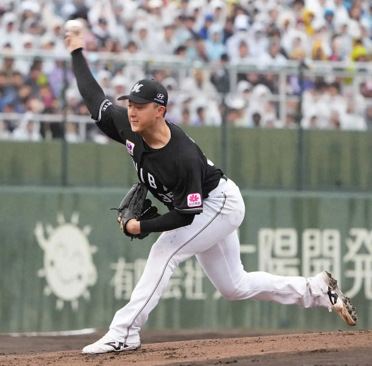 【画像・写真】鹿児島でのソフトバンク―ロッテは2回途中ノーゲーム　西川史礁の今季2号は“幻弾”も「ルールなんで」