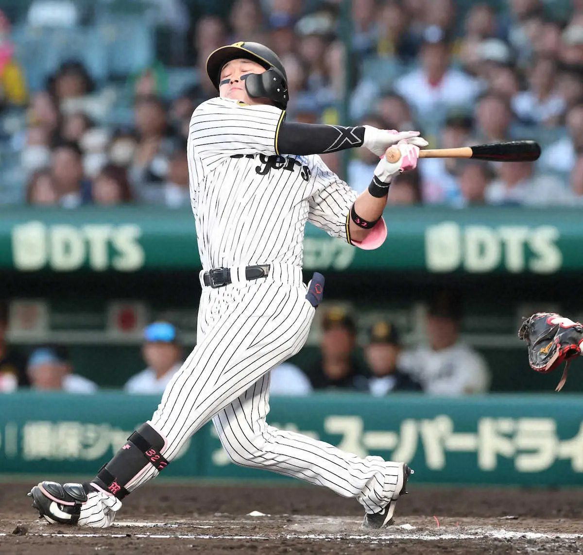 【画像・写真】阪神・浜田（撮影・大森　寛明）