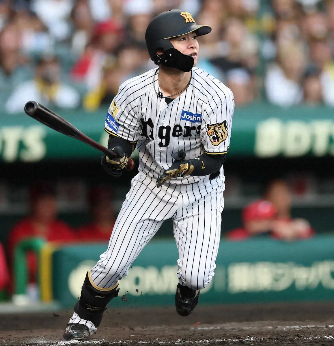 【画像・写真】阪神　近本離脱の新オーダーは「1番・福島圭音」　中野との1、2番コンビ　左翼には高寺、森下は右翼