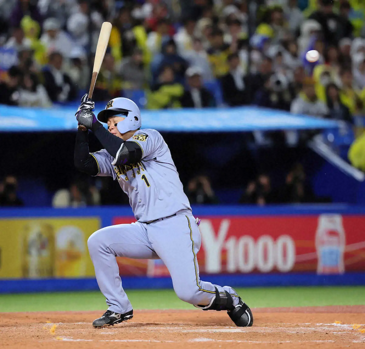 【画像・写真】阪神　死球禍再び…藤川球児監督「お互いさま。あまりにそこに過敏になると」