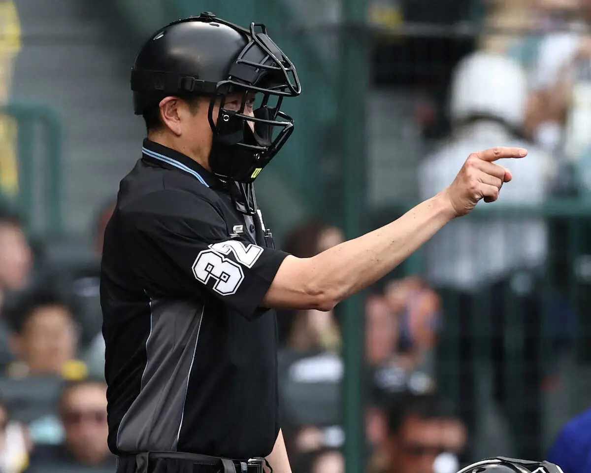 【画像・写真】NPB「危険なスイング」即退場も　実行委員会承認で今季中から適用へ