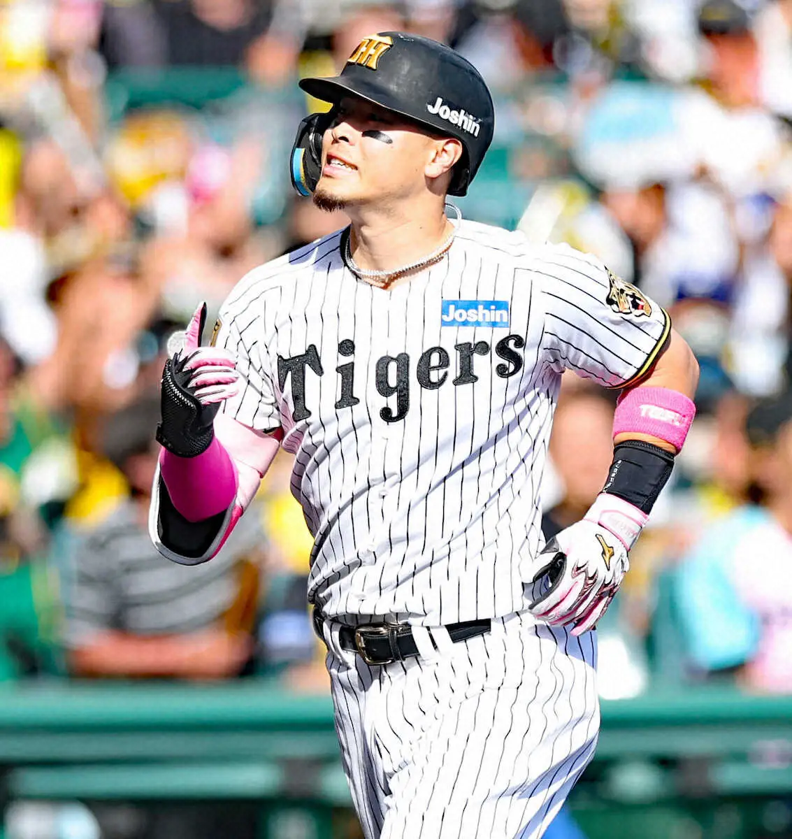 【画像・写真】阪神・佐藤輝明が6回に10号ソロ！　森下翔太を上回り、リーグ単独トップに
