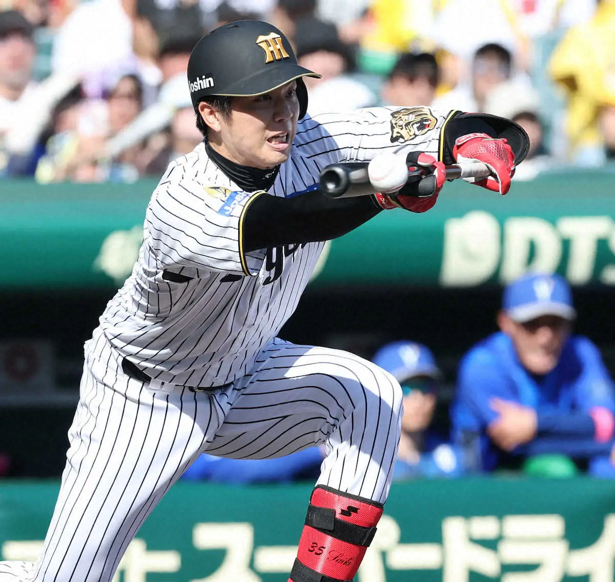 【画像・写真】阪神・才木浩人　令和のドクターKだ！12球団トップの奪三振率12・51、プロ野球記録塗り替える勢い
