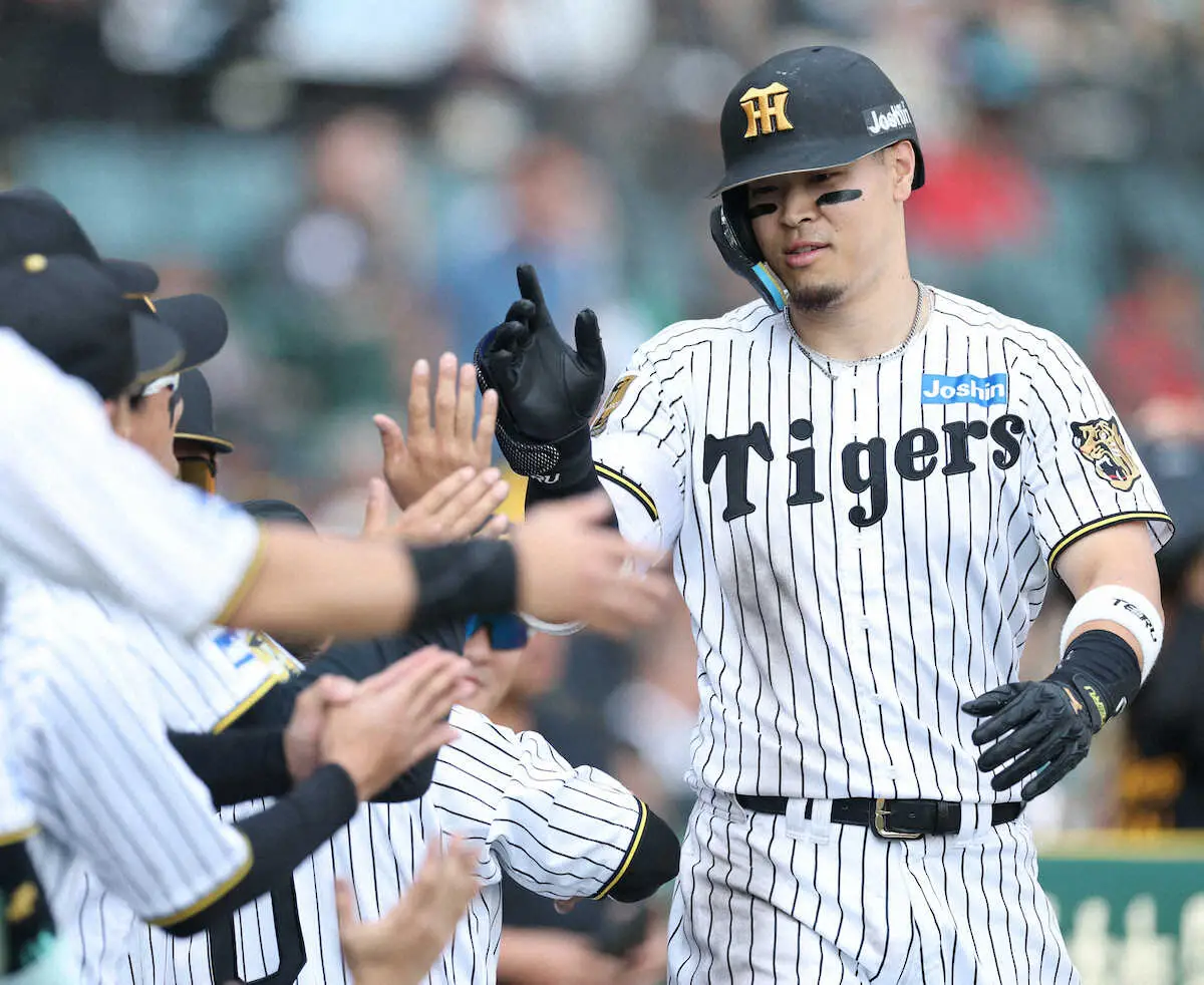 【画像・写真】阪神　止まらん！佐藤輝明がリーグ単独トップ11号「いい角度で上がってくれた」勝利打点6も両リーグ最多