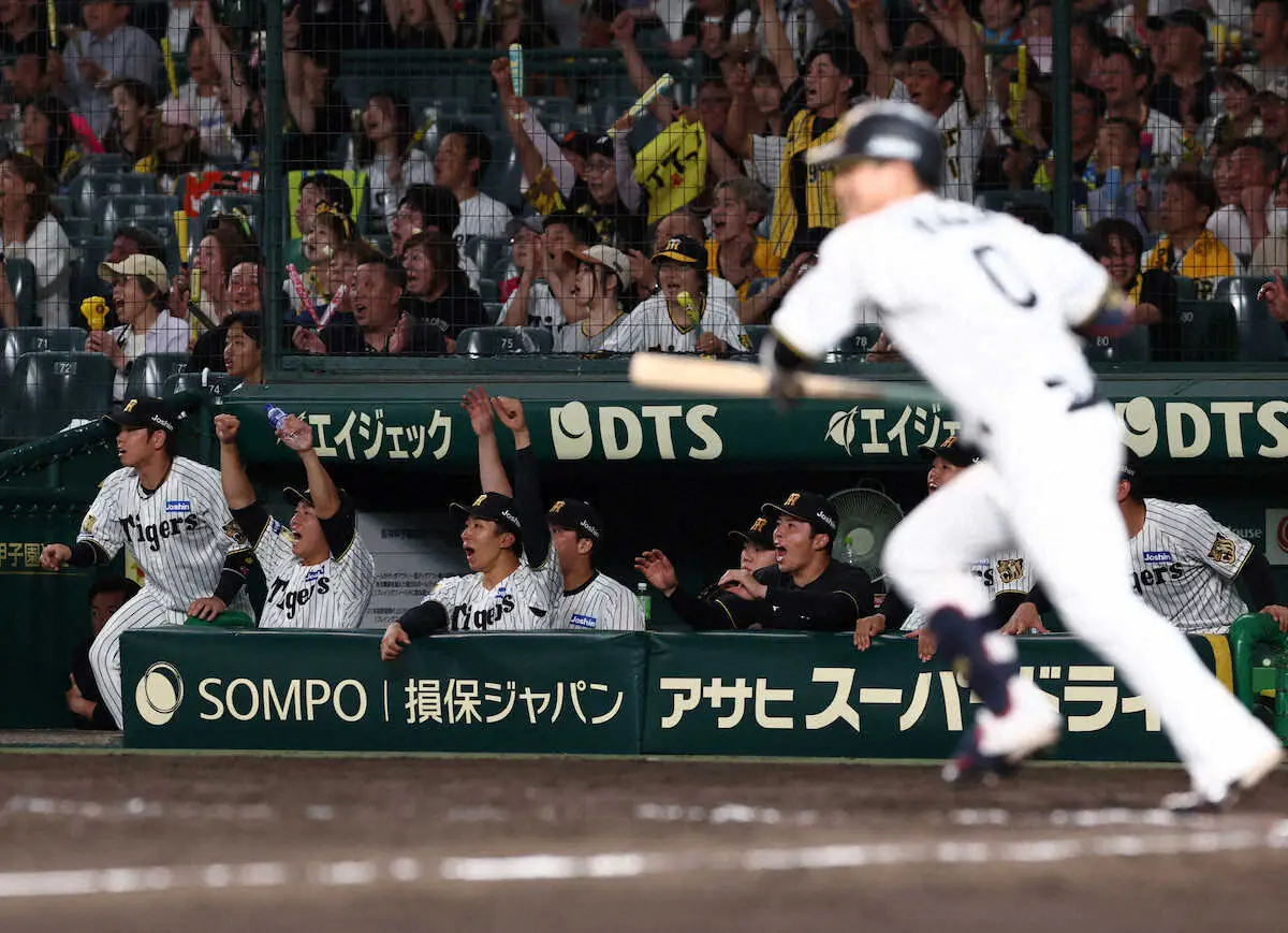 【画像・写真】＜神・中（11）＞8回、木浪の同点打に盛り上がる阪神ベンチ（撮影・岸　良祐）